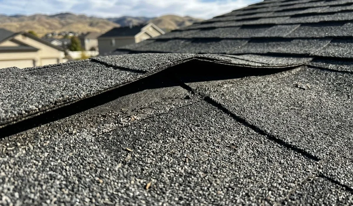 Creased shingle showing broken sealant bond after a Boise windstorm